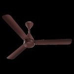 Ceiling fan 1