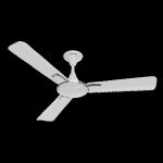 Ceiling fan 7