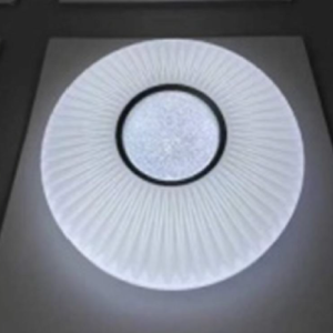 Ceiling Light-12