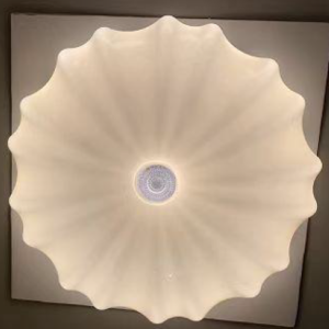 Ceiling Light-14