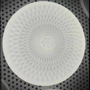 Ceiling Light-15