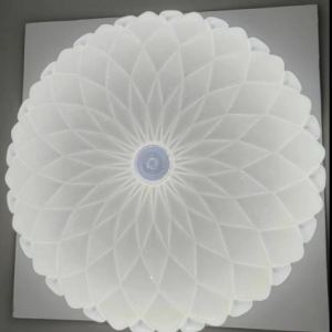 Ceiling Light-17