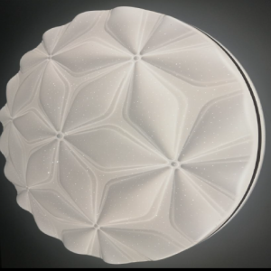 Ceiling Light-18