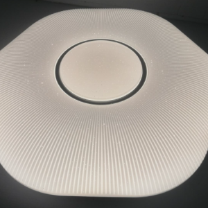 Ceiling Light-19