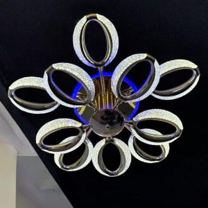 Ceiling Light-6