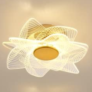 Ceiling Light-9